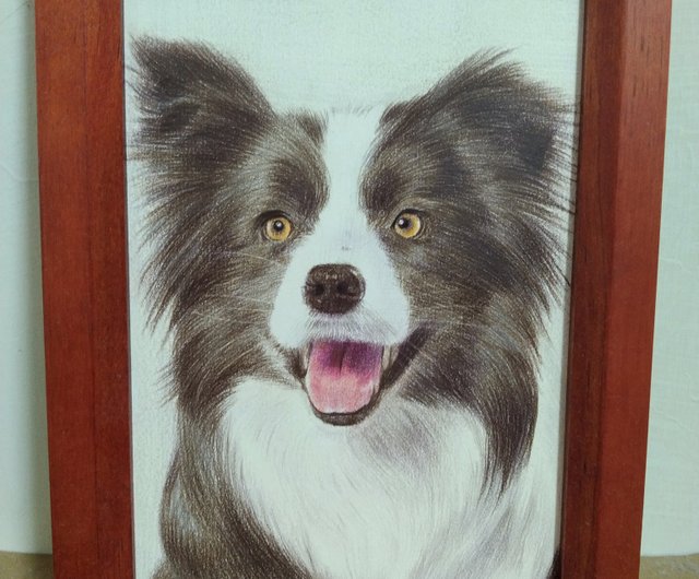 犬の絵 ボーダーコリー 色鉛筆画 - 絵画