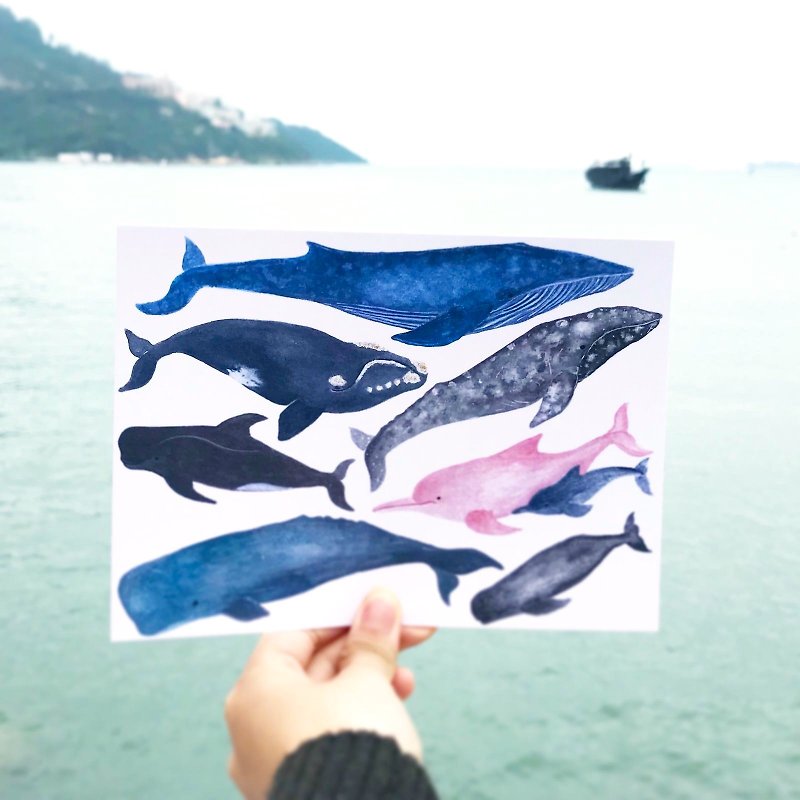 クジラとイルカの挿絵本A5ポストカード - カード・はがき - 紙 ブルー