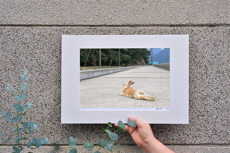 Original limited edition rabbit photography art-Free - ของวางตกแต่ง - กระดาษ สีน้ำเงิน