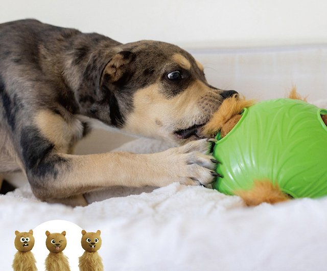 Dog Snuffle N' Treat Ball Puzzle, Green