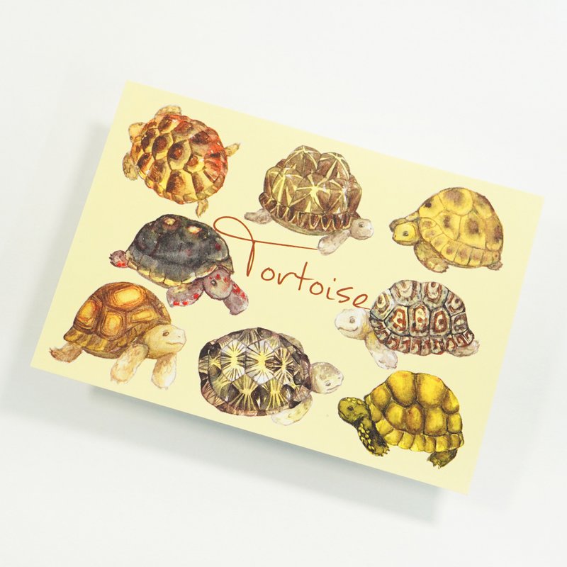 【陸龜先生】水彩插畫 自然圖鑑明信片 手帳 爬蟲 蘇卡達 烏龜 - 卡片/明信片 - 紙 咖啡色