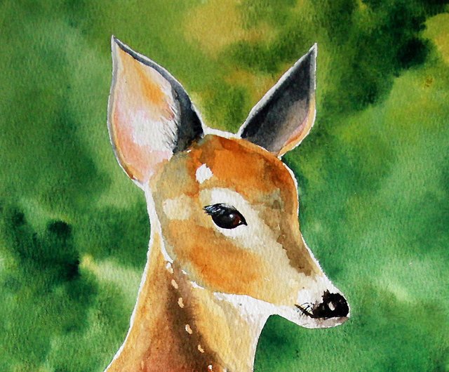 Fawn Painting Original Watercolor Deer Wall Art Original Painting
