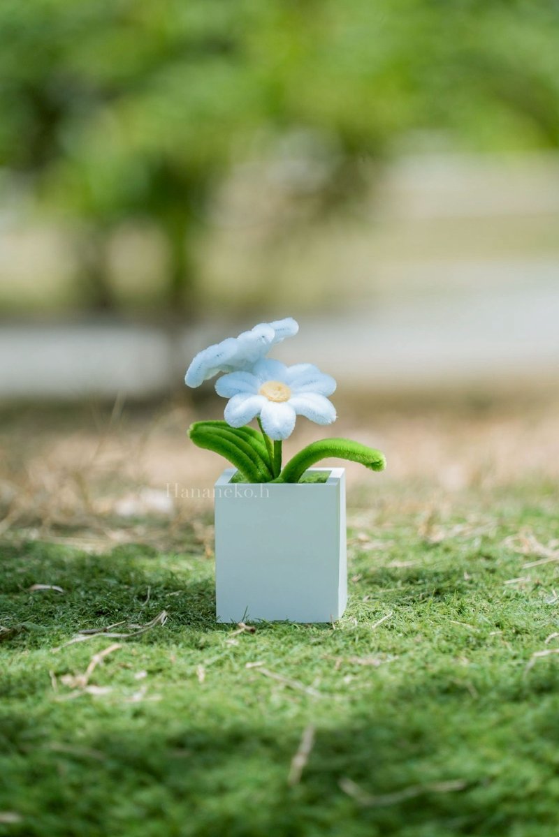 【可客製】毛根花 擴香石 盆栽 花藝香氛 小雛菊 - 香氛/精油/擴香 - 植物．花 