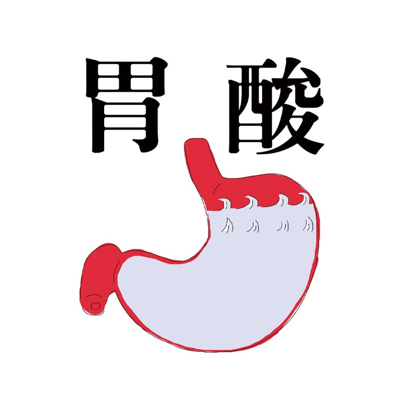 胃酸 T - Shirt - 女 T 恤 - 棉．麻 多色
