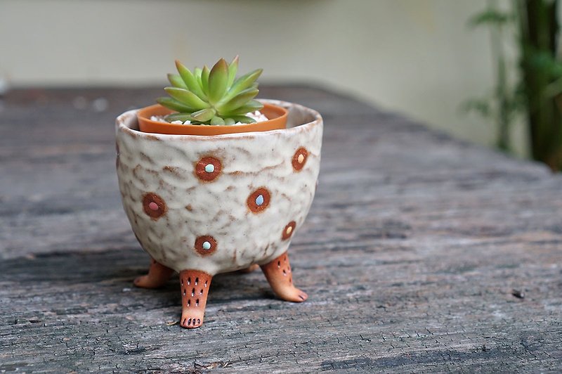 4 legged plant pot ,legged standing plant pot, succulent , flower pot , ceramic