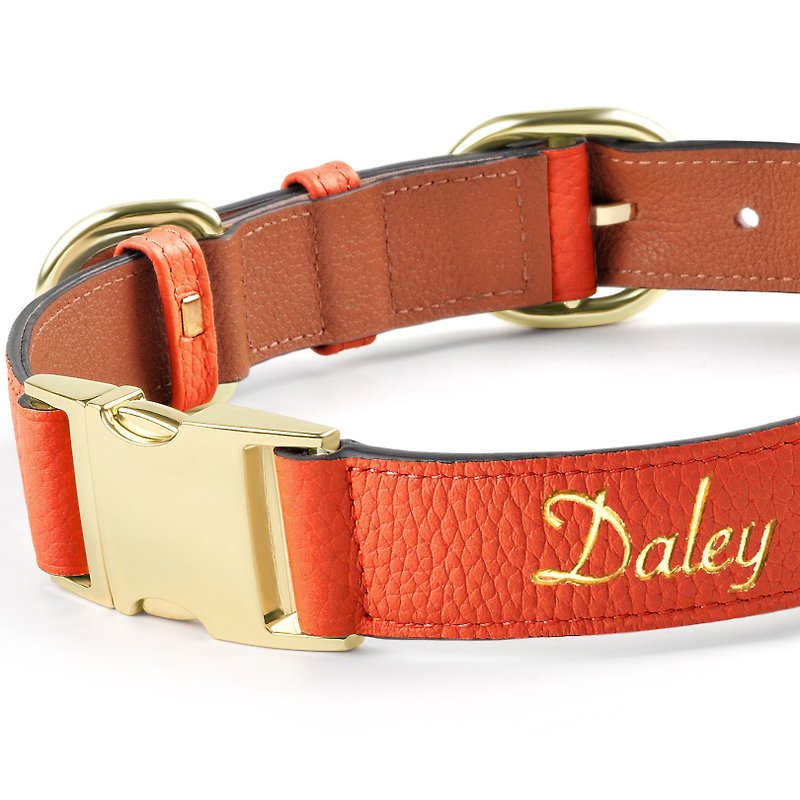 Custom foil stamped leather dog collar - Collars & Leashes - Genuine Leather Orange