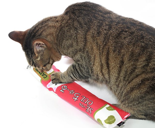 Cats LOVE Straw