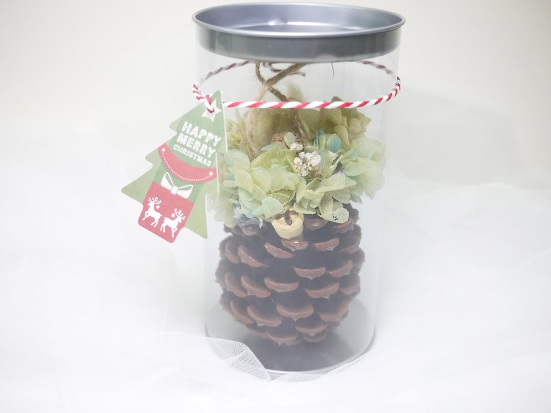 ♥ Flower everyday ♥ Pineapple flower withered gift box / Christmas gift / exchange gift - Items for Display - Plants & Flowers Green