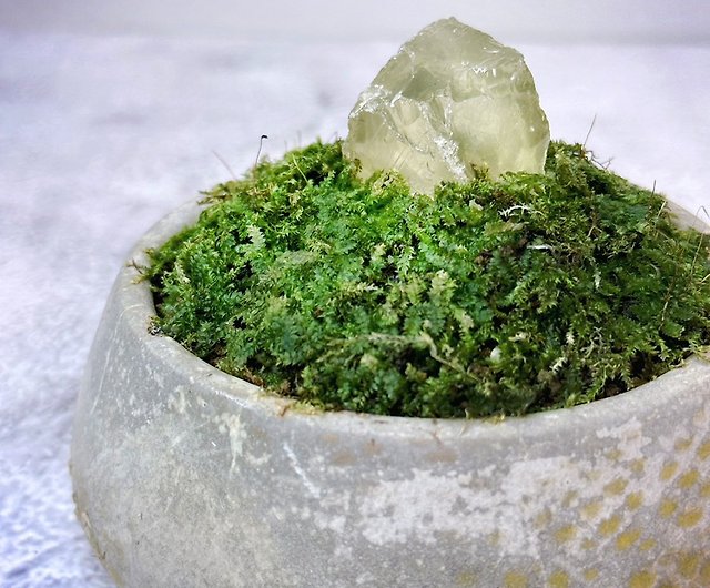 Aquatic Plants Pot Moss Ball, Mineral Balls, Cultivating Container