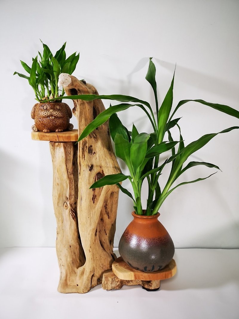 -Eagle- Flower stand, flower seat, display stand, potted plant stand, succulents, wood decoration, wood decoration - Items for Display - Wood Brown