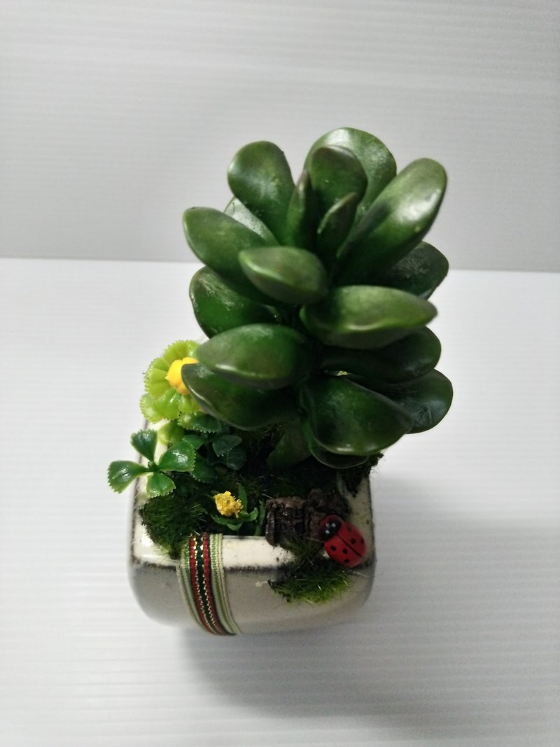 Order-based production/simulation potted succulent series-Tianjinzhang - ตกแต่งต้นไม้ - พืช/ดอกไม้ สีเขียว