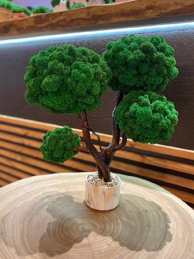 Moss tree, reindeer moss, unique moss tree, home decor - Plants - Plants & Flowers 