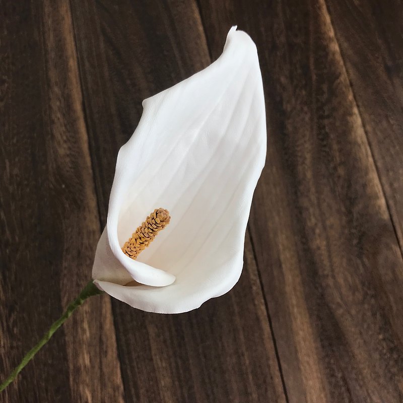米白皮革馬蹄蘭 - 植物/盆栽/盆景 - 真皮 白色