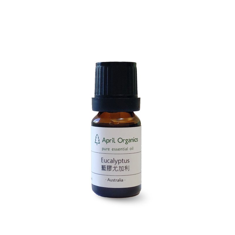 April Organics 藍膠尤加利精油Eucalyptus_10ml/25ml - 香氛/精油/擴香 - 玻璃 
