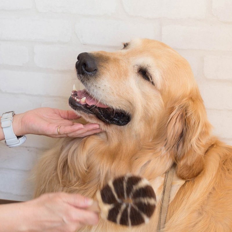 Kitayama Masaki-Japanese craftsman handmade pet hair brush dog massage brush [for large dogs] - ของเล่นสัตว์ - ผ้าฝ้าย/ผ้าลินิน สีกากี