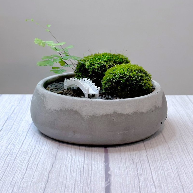 Healing system - natural moss and jade aesthetics - Jingqiao/Wabi-sabi style/Zen style/potted plants/decorations - ตกแต่งต้นไม้ - พืช/ดอกไม้ 