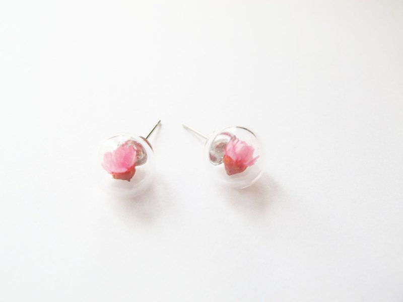 * Rosy Garden * Dried Daisy inside glass ball earrings - ต่างหู - แก้ว สึชมพู
