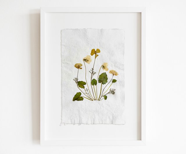 Pressed flower art Yellow poppies and white violets Green plant