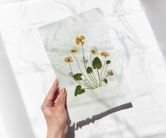 Pressed flower art Yellow poppies and white violets Green plant