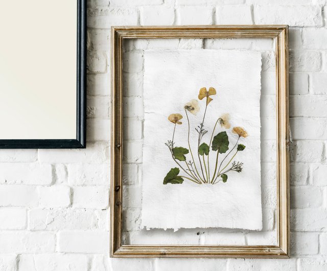 Pressed flower art Yellow poppies and white violets Green plant