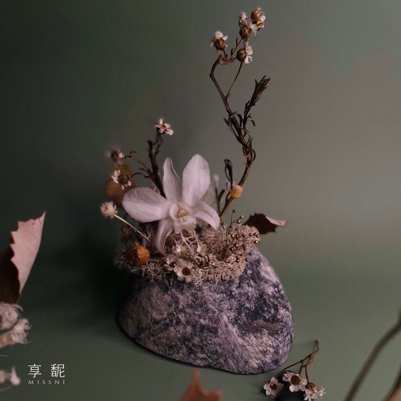 日式侘寂石斛蘭 C款 (唯一 / 現貨) / 永生花 - 擺飾/家飾品 - 植物．花 