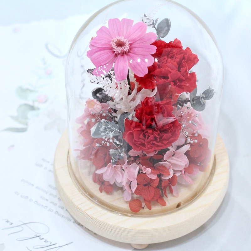 Fl07-01 Mother's Day Limited Product/Carnation Glass Cover—Red - Dried Flowers & Bouquets - Plants & Flowers 