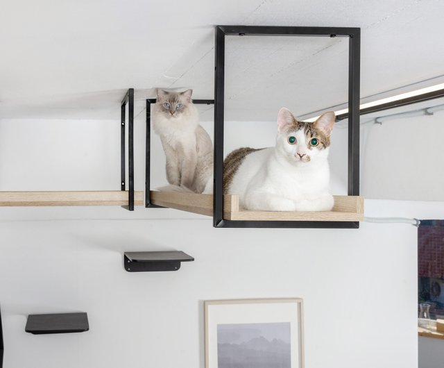 MYZOO STAR マイズー キャットステップ 星モチーフ 楽天市場】MYZOO