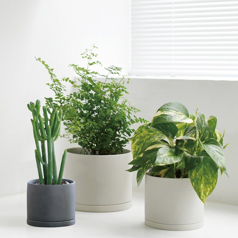 Japan KINTO PLANT POT 191 Ceramic Flower Pot / Total 2 Colors - Pottery & Ceramics - Porcelain White