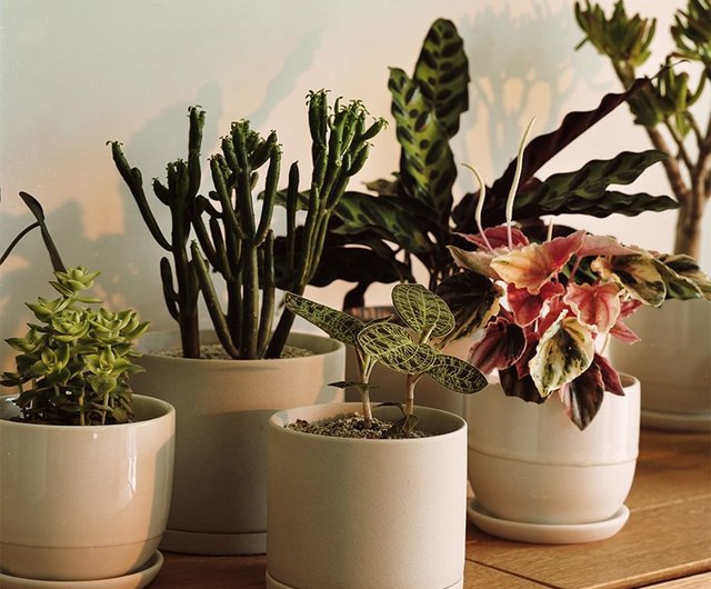 Japan KINTO PLANTPOT191セラミック植木鉢/合計2色 - ショップ