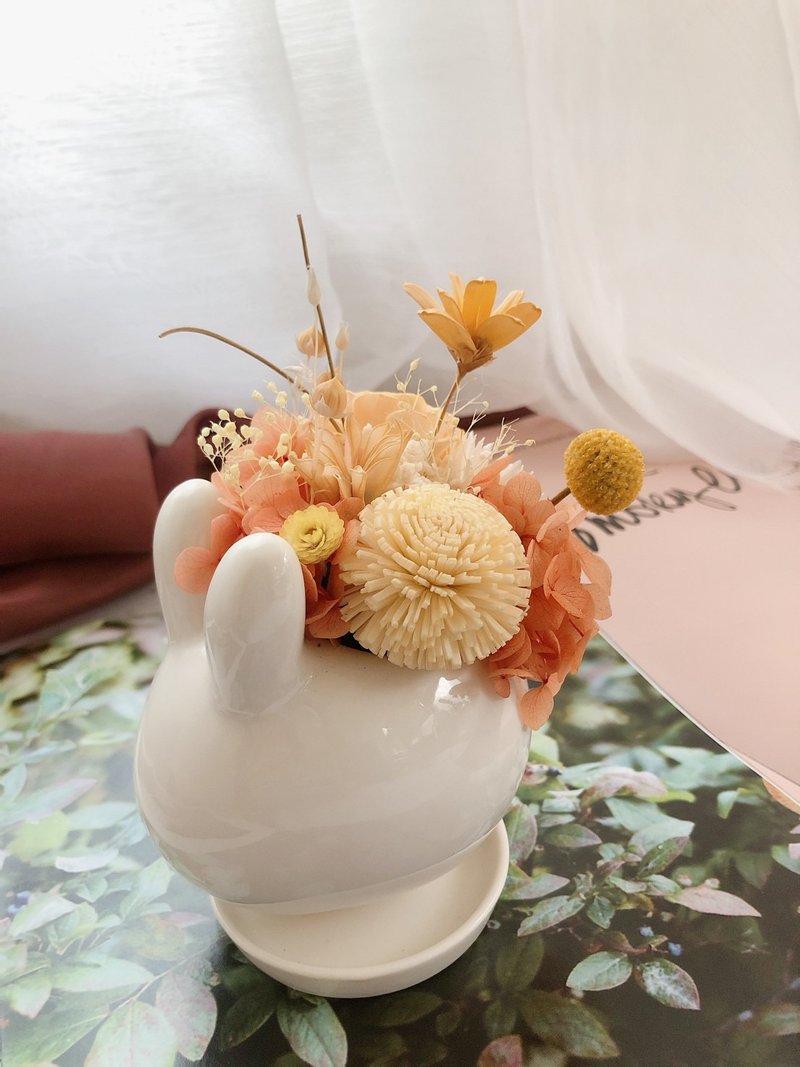 Rabbit potted flower immortal potted flower immortalized flower dried flower home decoration healing small object - ช่อดอกไม้แห้ง - พืช/ดอกไม้ หลากหลายสี