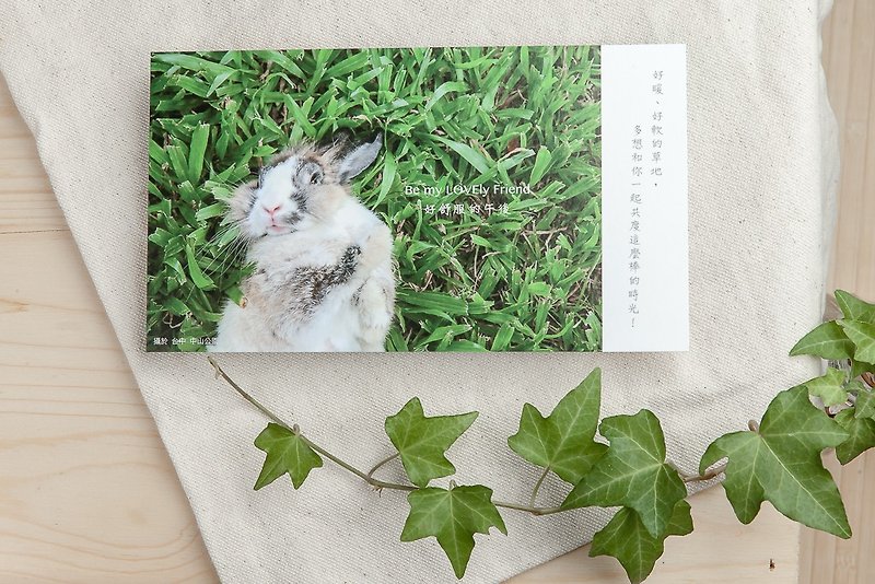 Rabbit Photography Illustrated Postcard-So comfortable afternoon - การ์ด/โปสการ์ด - กระดาษ สีเขียว