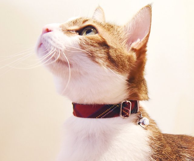 Cat collar