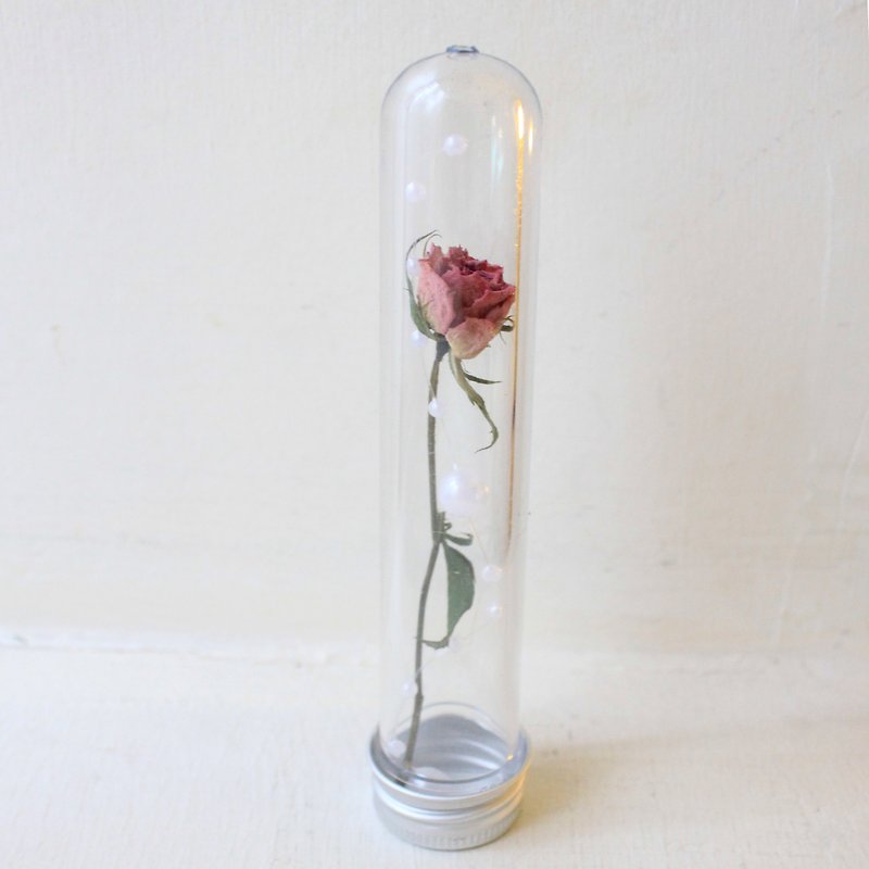 Garden party rose test tube bottle · mini rose dry flower classic flower ceremony - Items for Display - Plants & Flowers Pink
