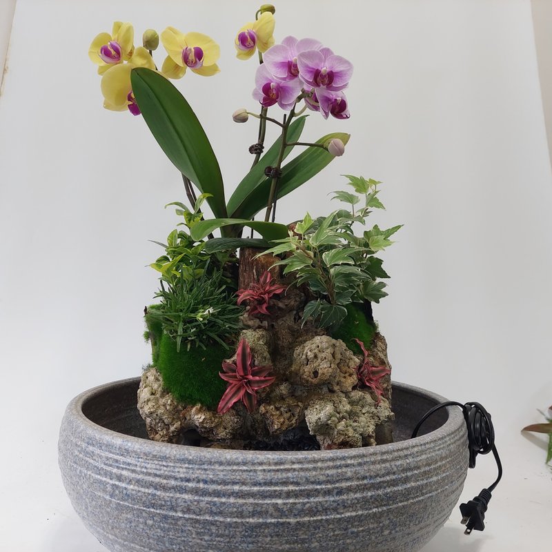 **複合式蘭花流水盆景**     可以自己任意搭配組合的永久花器 - 植栽/盆栽 - 瓷 