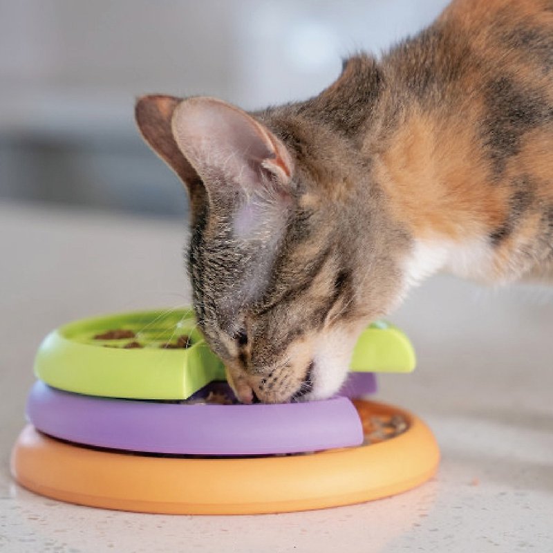 [Swedish Educational Toys] Greedy Cat-Rotating Slow Food Plate LV.2 Pet Toy - ของเล่นสัตว์ - ยาง 