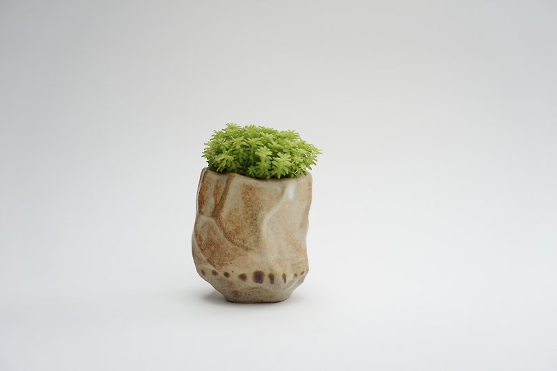 Small ceramic plant pot for cactus , handmade pottery , small pot - Plants - Pottery Brown