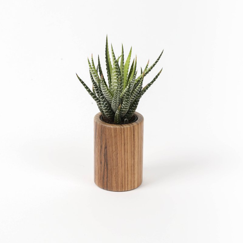 Original Wooden Pot Zebra Round | GREENFUL LIFE - Plants - Wood 