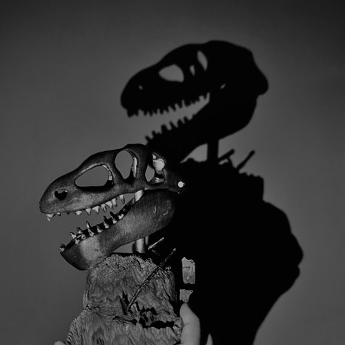 手彫りの木製ティラノサウルス レックスの頭蓋骨の飾り - ショップ