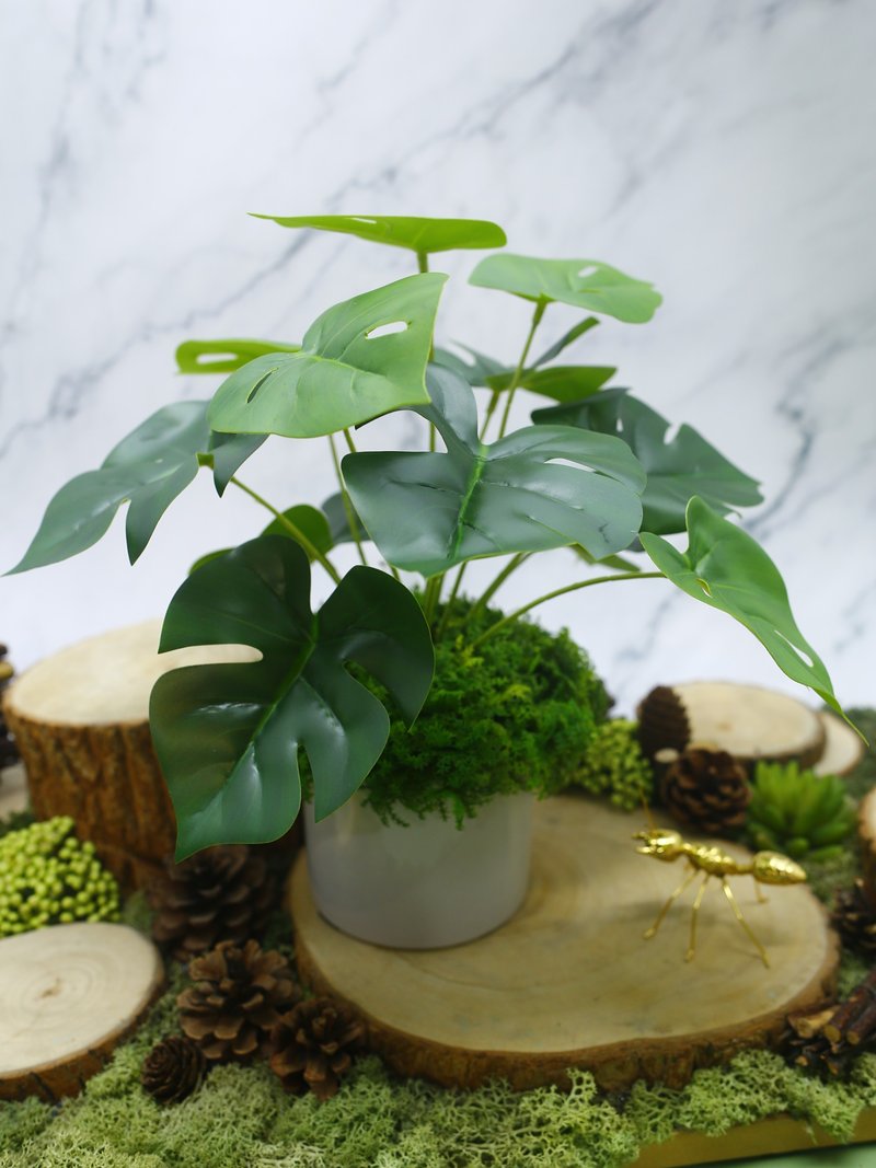 擬真龜背芋 電信蘭香氛植栽 低款/擬真植物/人造盆栽/綠化/佈置 - 盆栽/植栽 - 其他材質 綠色