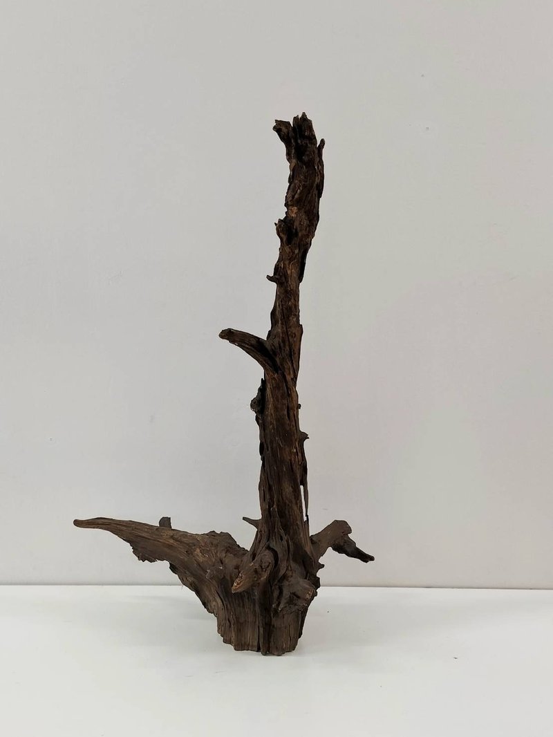 流木　ファウンドオブジェ - 擺飾/家飾品 - 木頭 