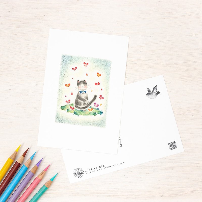 Set of 5 pieces. Like a picture book. Postcard "Moko's Thoughts on Cats" PC-143 - การ์ด/โปสการ์ด - กระดาษ สีเขียว
