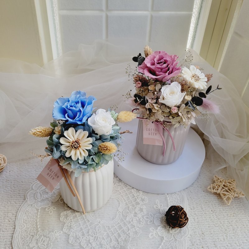 永生玫瑰牛奶瓶桌花。盆花。擺飾。附包裝。畢業。 - 乾燥花/永生花 - 植物．花 