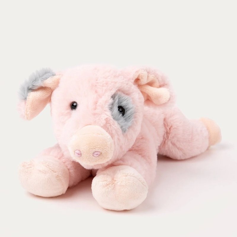 (預購中) 瑞典 Teddykompaniet Farm睏睏豬 新年禮物 - 公仔/玩偶 - 聚酯纖維 