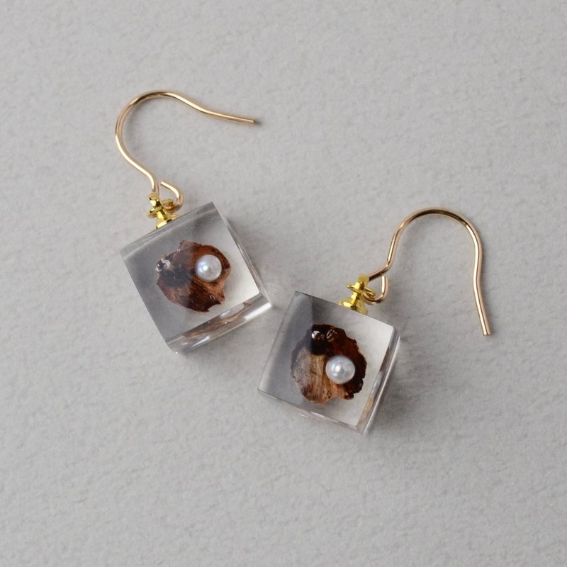 Freshwater Pearl Hemlock Hook Earrings 14kgf Gift Birthday Present Gift Wrapping Wedding Invitation - Earrings & Clip-ons - Resin Brown