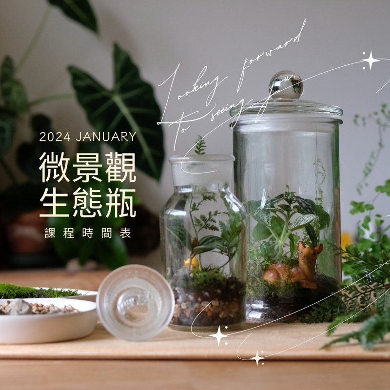 減速節奏 | 微景療癒生態瓶_贈照顧工具 - 植栽/花藝 - 植物．花 