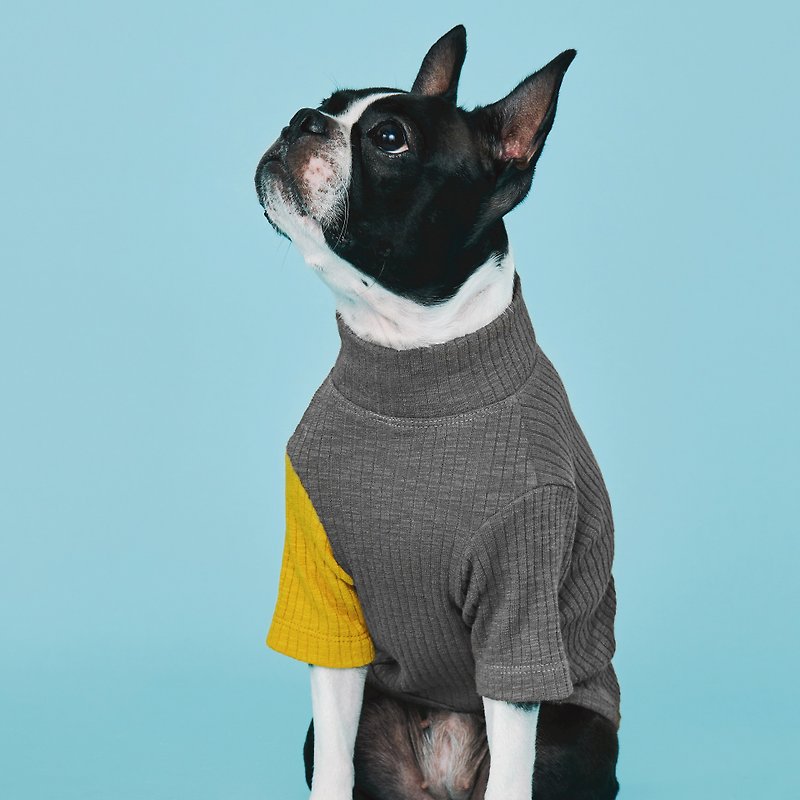 momotone-Egg Yolk / cat and dog can wear top-gray - Clothing & Accessories - Cotton & Hemp 