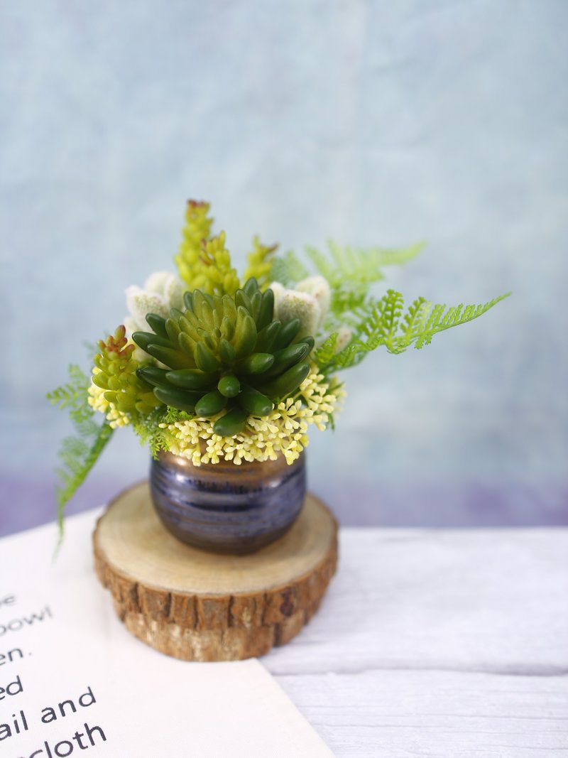 佛手蓮多肉蕨葉日式陶盆香氛植栽/入厝禮/開幕/喬遷/送禮/植栽 - 盆栽/植栽 - 其他材質 綠色