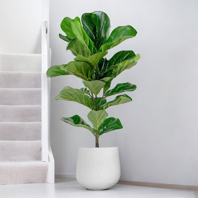 Qinyirong simple Cement potted floor-standing potted plant large potted plant opening gift housewarming gift planting - ตกแต่งต้นไม้ - พืช/ดอกไม้ 