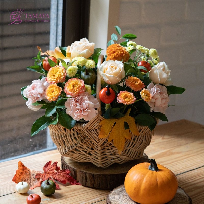 [Harvest Orchard] Halloween Potted Flowers and Flower Baskets Congratulatory Flower Gifts - ตกแต่งต้นไม้ - พืช/ดอกไม้ สีส้ม