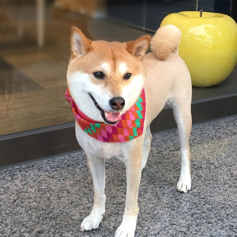 Dog exclusive name scarf - custom (medium type dog) - Ling Check - ปลอกคอ - ผ้าฝ้าย/ผ้าลินิน สีแดง